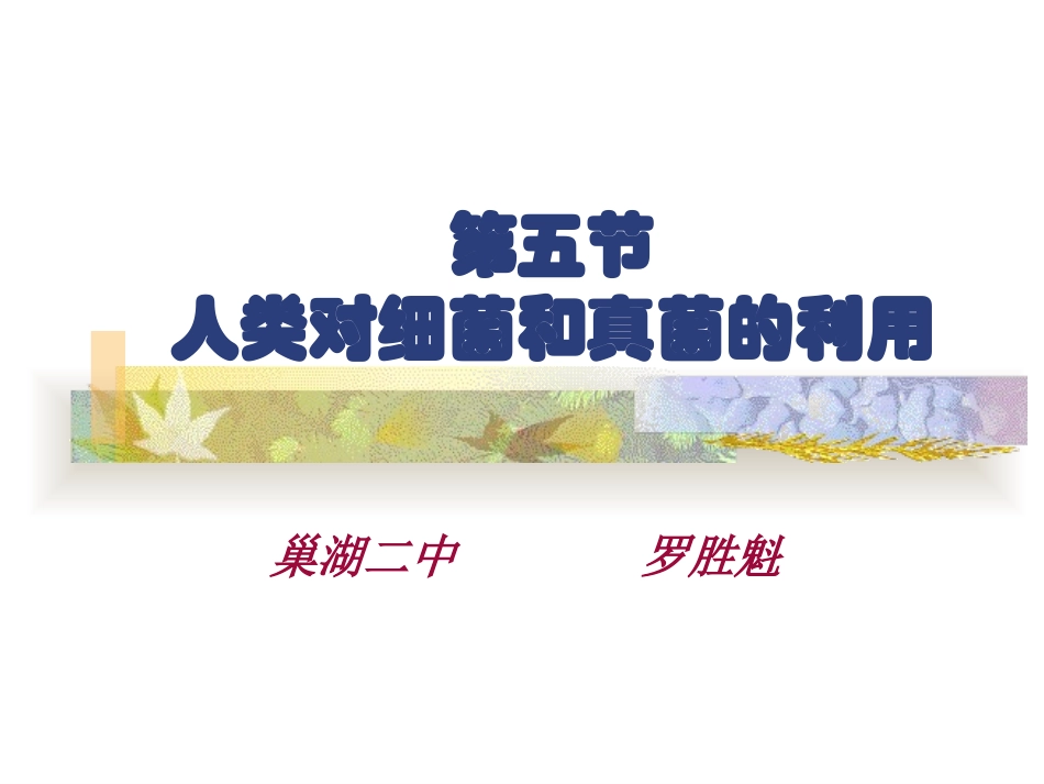 《人类对细菌和真菌的利用》课件4-1_第1页