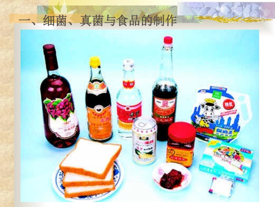 《人类对细菌和真菌的利用》课件4-1_第2页