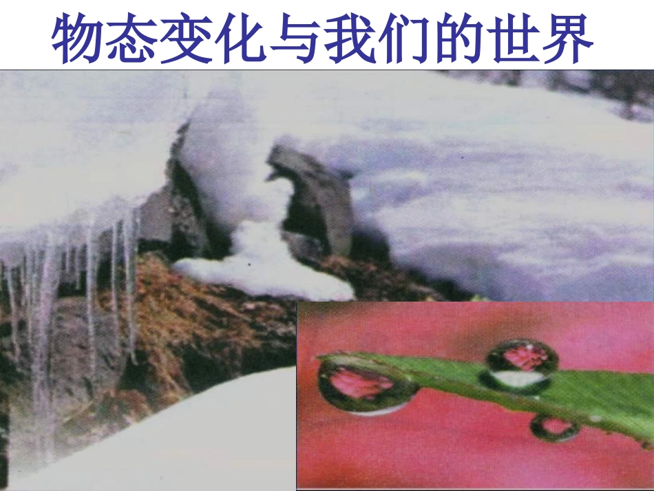 八年级物理物态变化与我们的世界_第1页