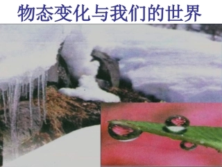 八年级物理物态变化与我们的世界