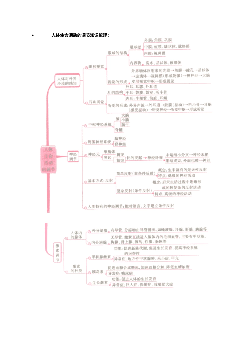 近视眼的保护，儿童素质的培养_第3页