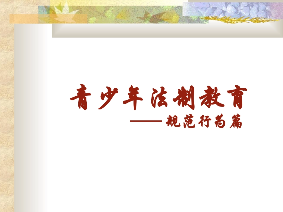 小学生法制教育PPT_第1页