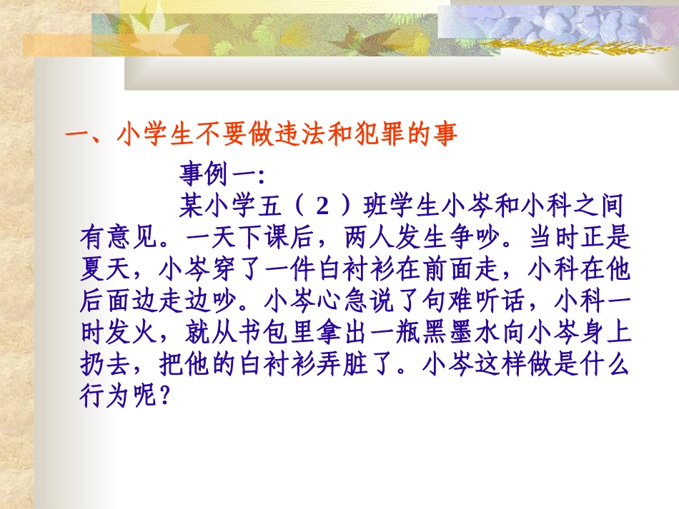 小学生法制教育PPT_第2页