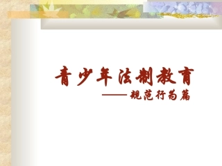 小学生法制教育PPT