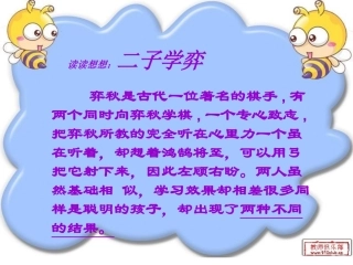 聪明以外的智慧课件