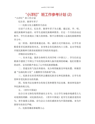 “小洋钉”班工作参考计划 (2) 