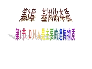 人教版必修二第3章第1节DNA是主要的遗传物质（共29张PPT）
