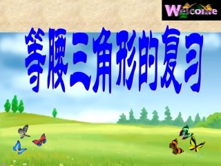 等腰三角形的复习1