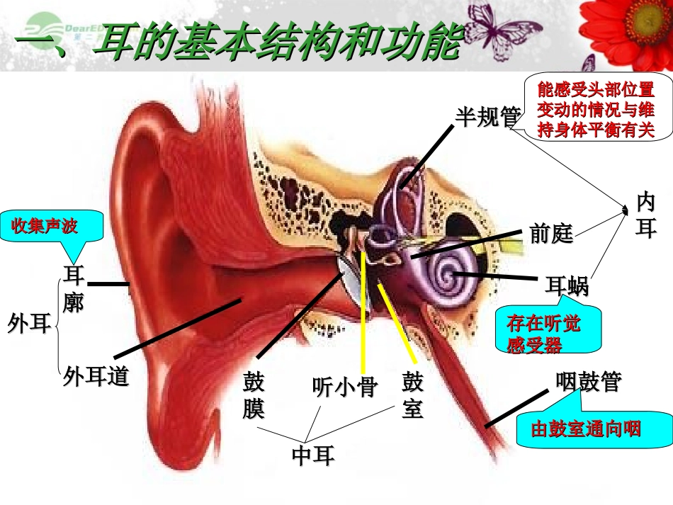 七年级生物下册_第十二章_人体的自我调节_第二节___第3页