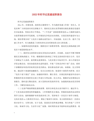 20XX年村书记党建述职报告 (000002)