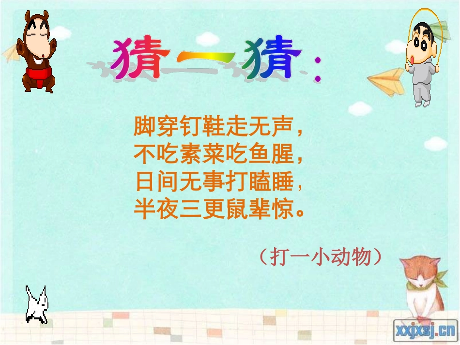 猫来小涛课件_第2页