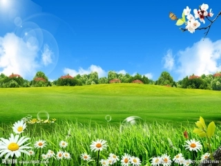 策划一次出游活动