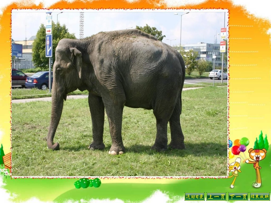 看一看(一)课件_第3页