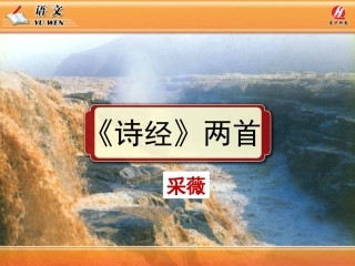 《诗经》两首《采薇》PPT课件