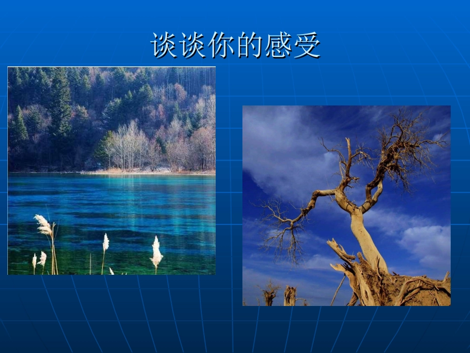 长江两岸是家乡之家乡的水_第2页