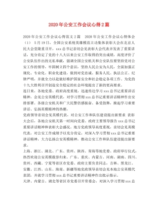 2024年公安工作会议心得2篇 