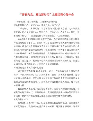 “青春向党，建功新时代”主题团课心得体会 