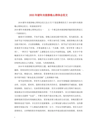 20XX年猪年央视春晚心得体会范文 