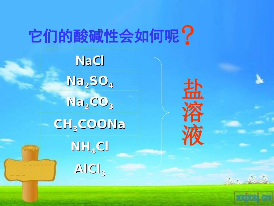 盐类水解课件新人教版选修_第3页