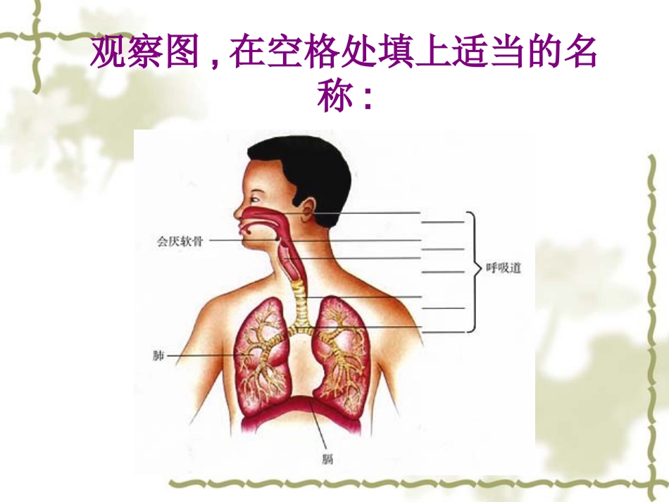 呼吸道对空气的处理上果用_第2页