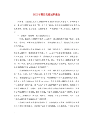 20XX年基层党建述职报告 (000002)