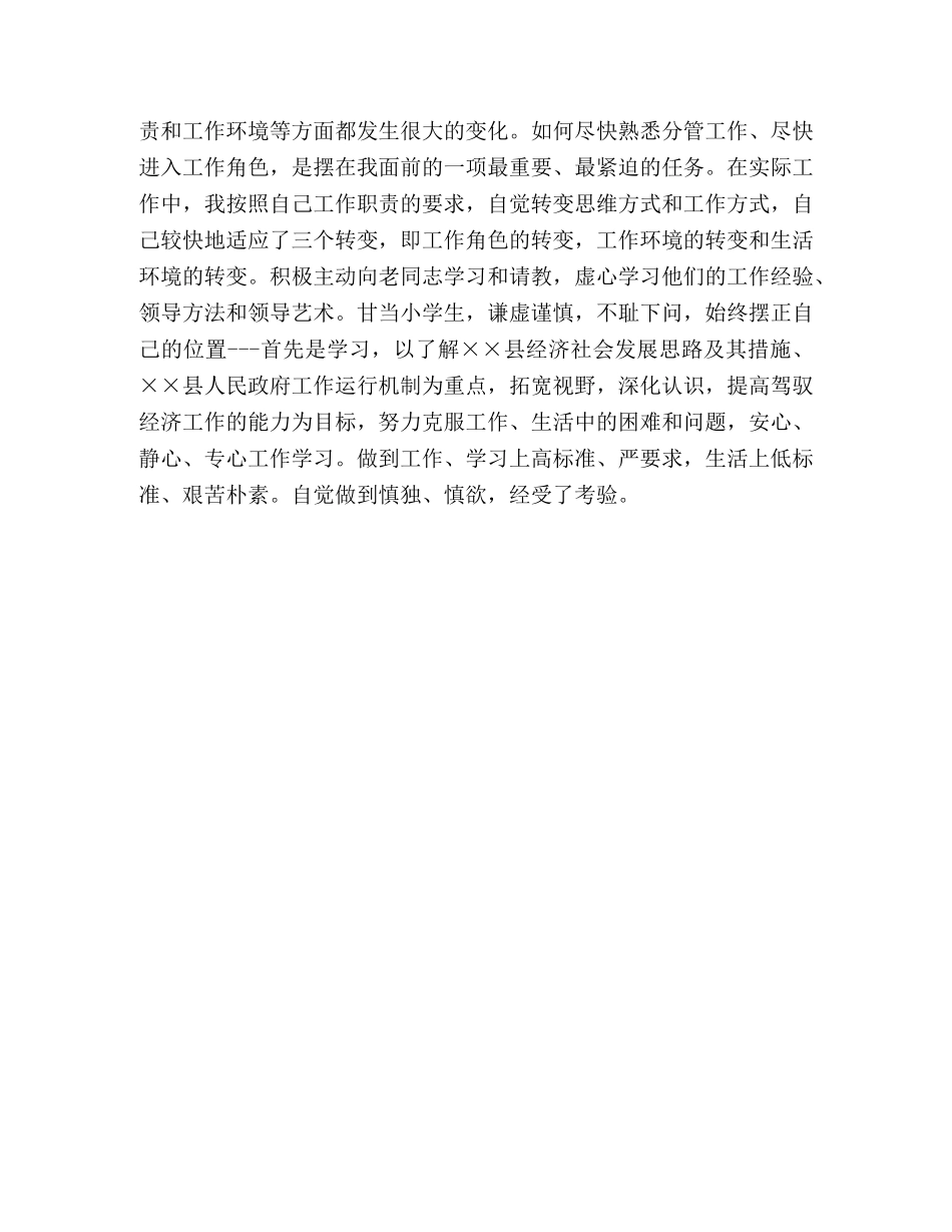 2024年挂职副县长述职述廉报告 _第3页