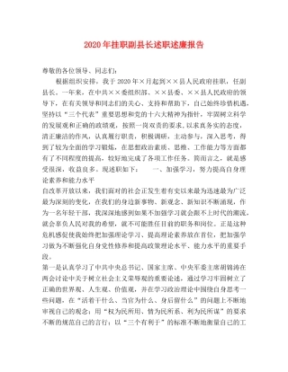 2024年挂职副县长述职述廉报告 