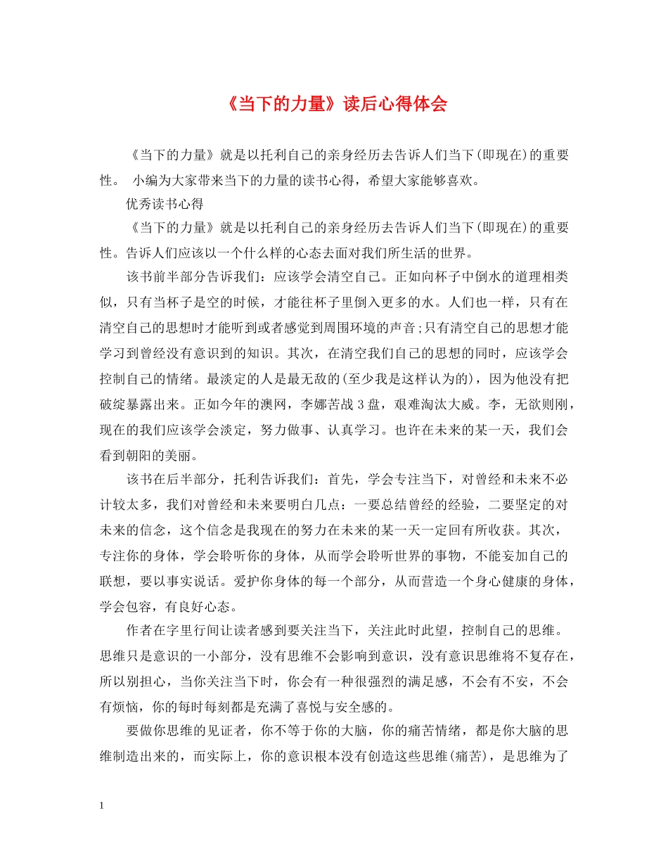 《当下的力量》读后心得体会 _第1页