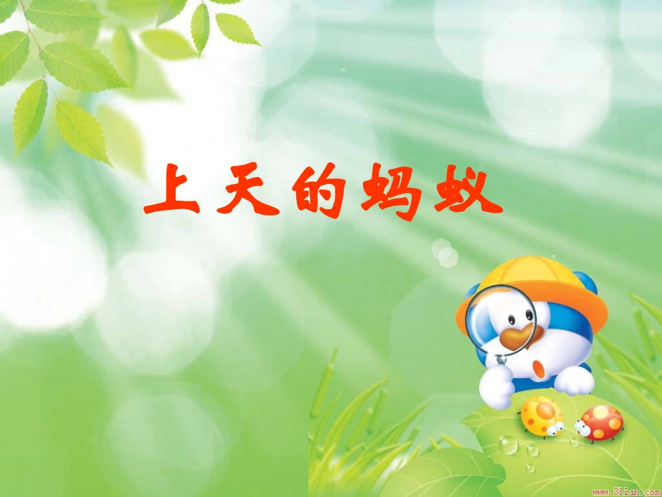 上天的蚂蚁课件2_第1页
