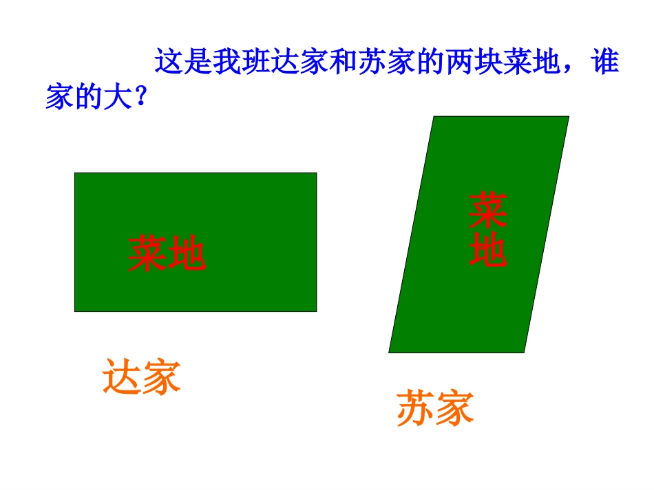 平行四边形的面积正_第2页