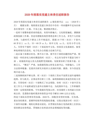 2024年度落实党建主体责任述职报告 