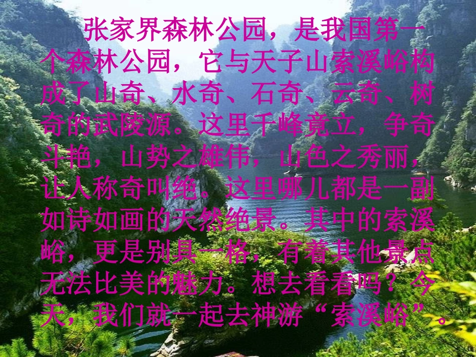 《索溪峪的野》课件_第1页