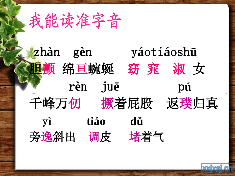 《索溪峪的野》课件_第3页