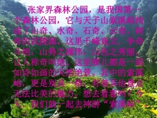 《索溪峪的野》课件