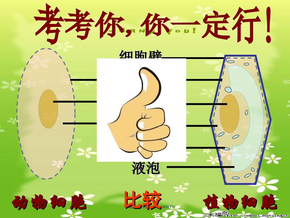 细胞的生活需要物质和能量_公开课课件精品_第2页