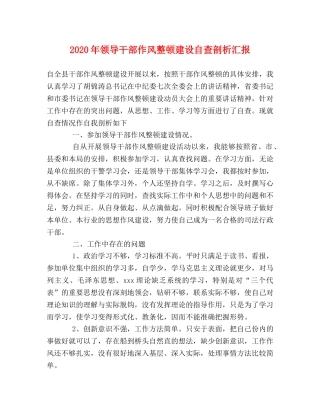 2024年领导干部作风整顿建设自查剖析汇报 