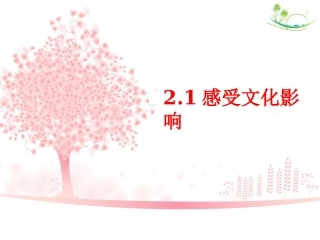 《感受文化影响》