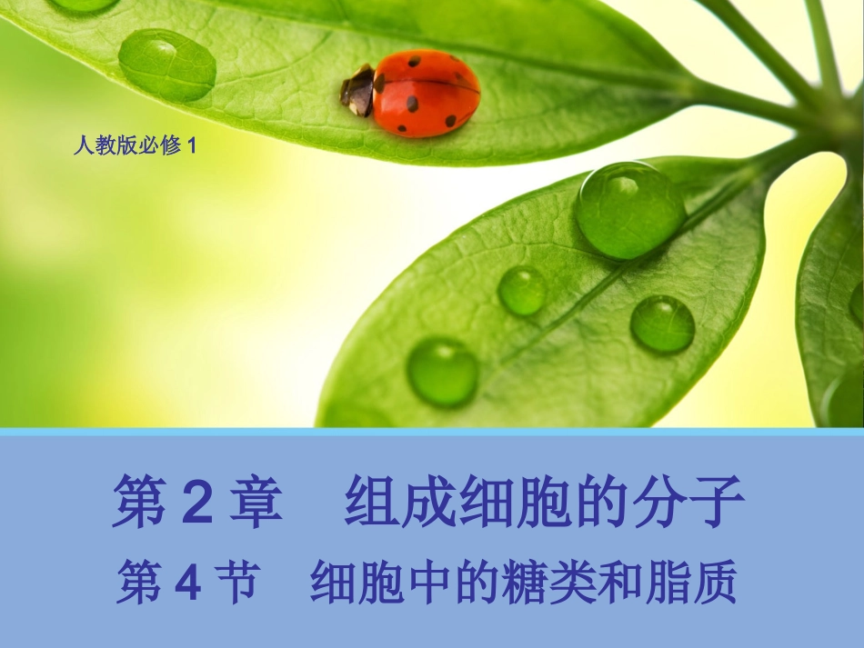 【生物】24细胞中的糖类和脂质课件1（人教版必修1）_第1页