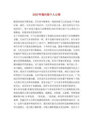 2024环境污染个人心得 