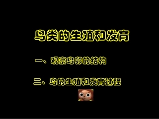 《鸟类的生殖和发育》(2)