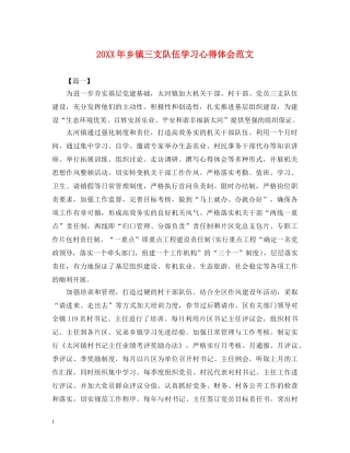 20XX年乡镇三支队伍学习心得体会范文 