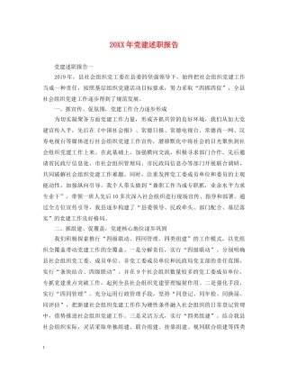 20XX年党建述职报告 (000001)