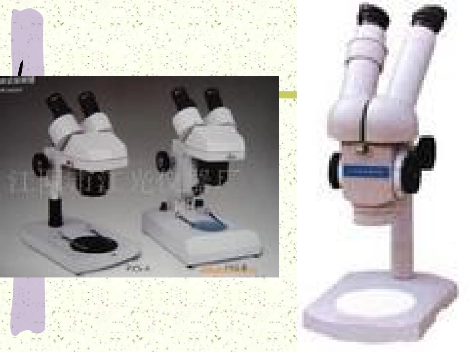 显微镜的构造和使用方法复习_第2页