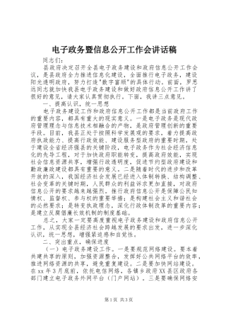 电子政务暨信息公开工作会的讲话发言稿