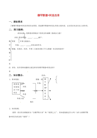 高中历史：4.13《历史上重大改革回眸：穆罕默德·阿里改革》学案（1）岳麓版选修1