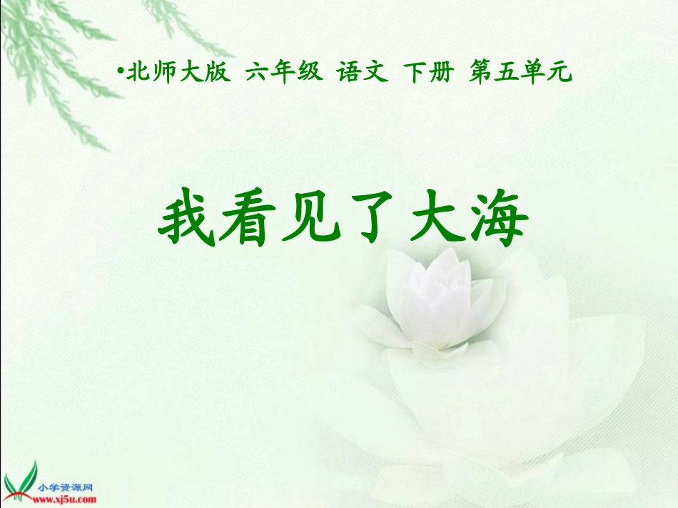 北师版语文六年级下册《我看见了大海》PPT课件_第1页