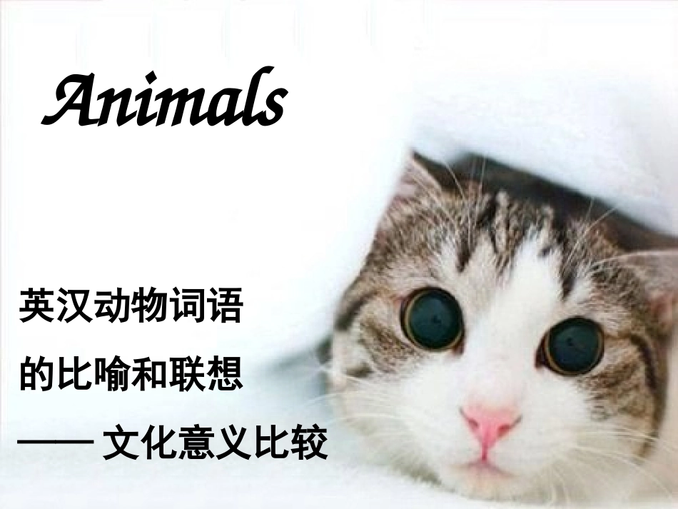 英汉动物词语的比喻和联想——文化差异_第1页