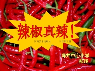 辣椒真辣PPT