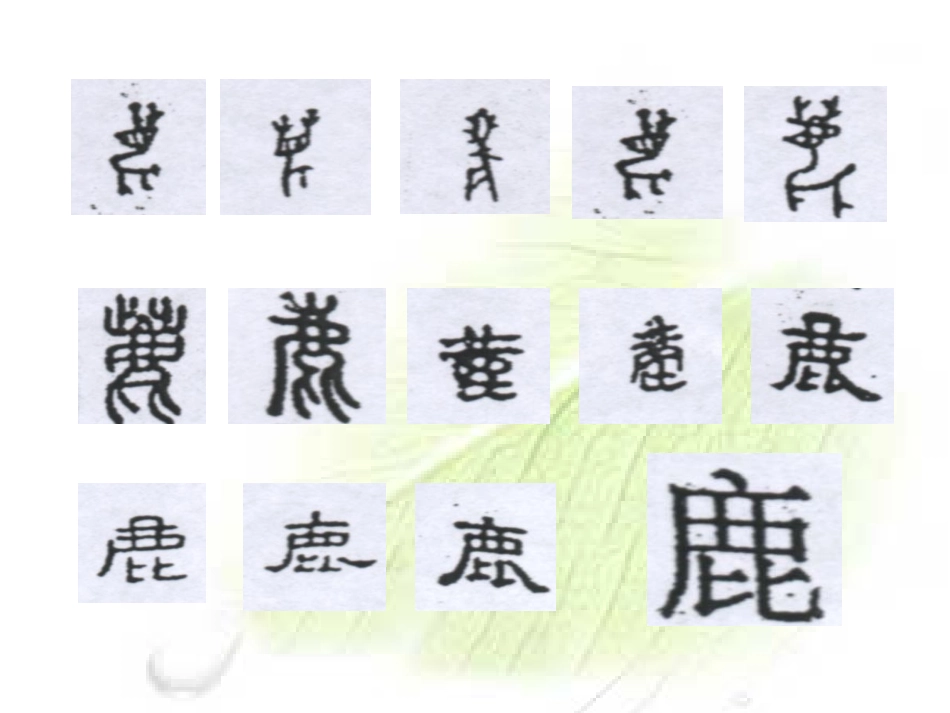 11美丽的小路课件_第2页