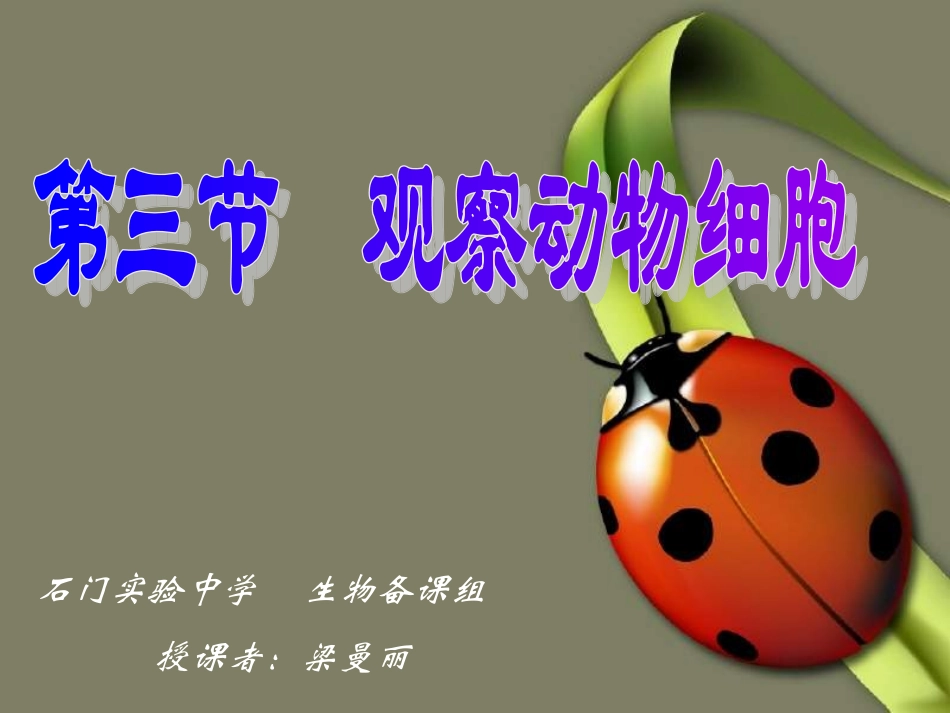 【】观察动物细胞课件2_第1页